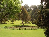 Sims Park Green Grass and Trees Coonoor Hill Station Tamil Nadu India
