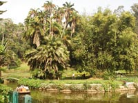 Ooty sims Park