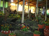 Ooty thread Garden