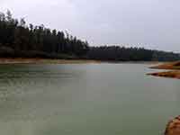 Pykara Lake View Udagamandalam Nilgiris District Tamil Nadu India