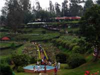Garden nilgiris Images tamilnadu india